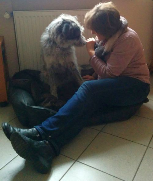 Hannes