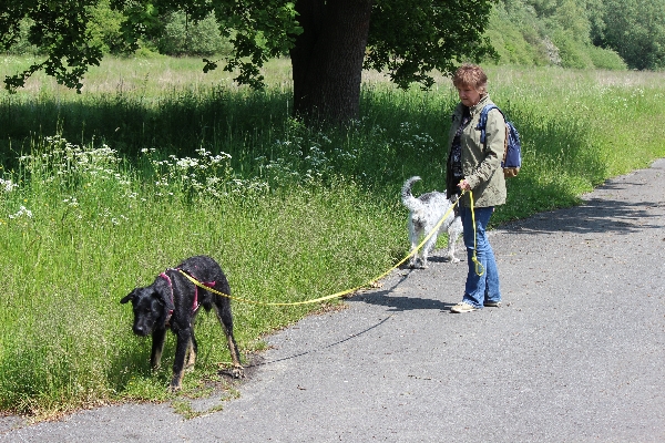 Hannes und Lula