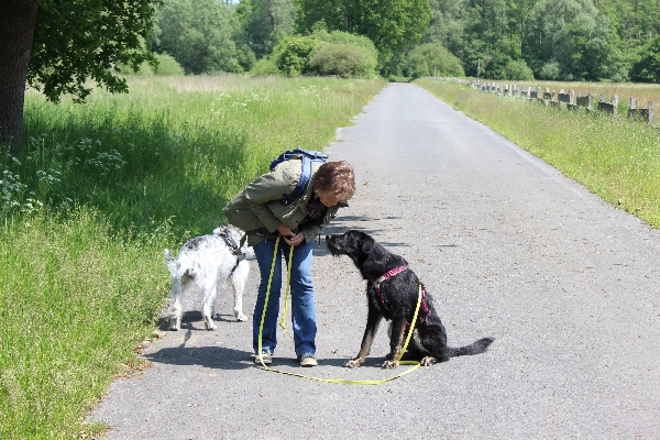 Hannes und Lula