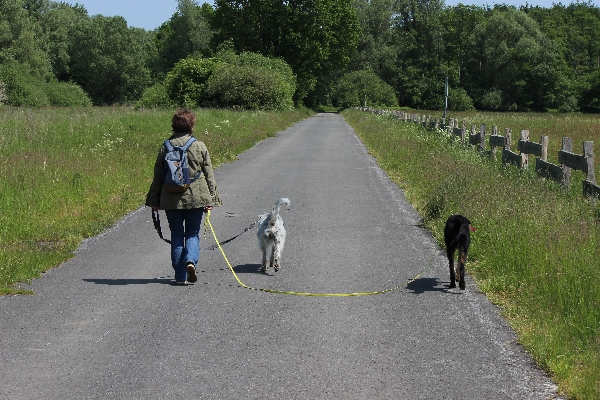 Hannes und Lula