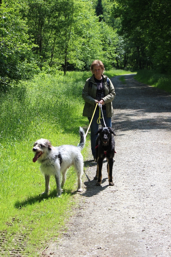 Hannes und Lula