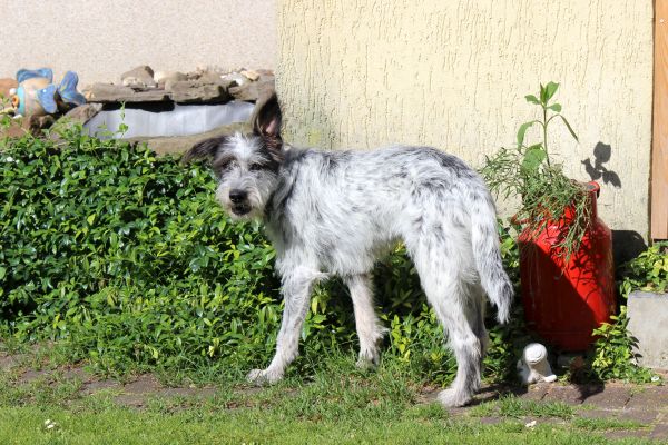 Bilder von Hannes - unsortiert