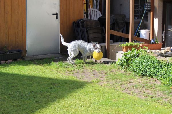 Bilder von Hannes - unsortiert