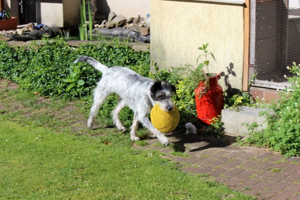 Bilder von Hannes - unsortiert