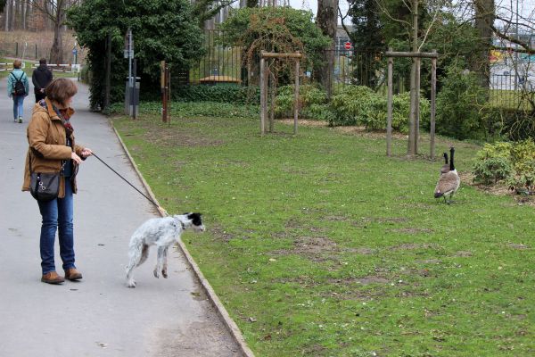 Bilder von Hannes - unsortiert