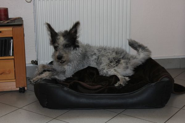 Bilder von Hannes - unsortiert