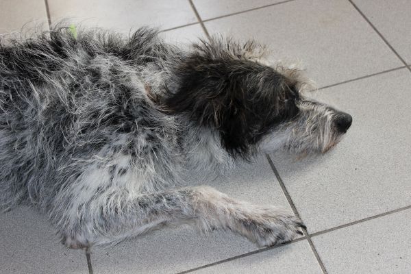 Bilder von Hannes - unsortiert