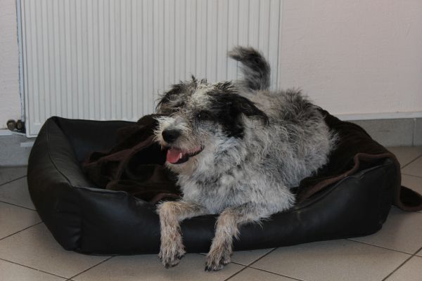 Bilder von Hannes - unsortiert