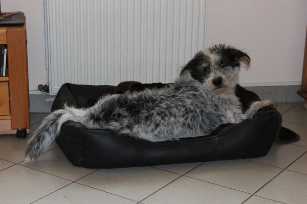 Bilder von Hannes - unsortiert
