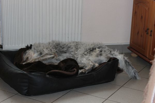 Bilder von Hannes - unsortiert