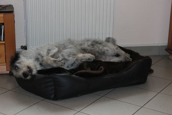 Bilder von Hannes - unsortiert