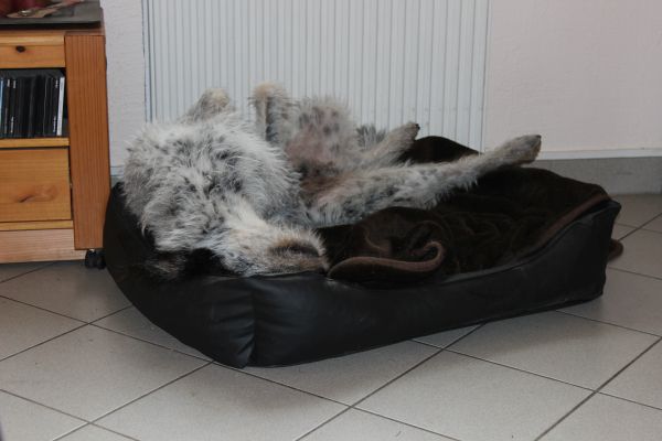 Bilder von Hannes - unsortiert