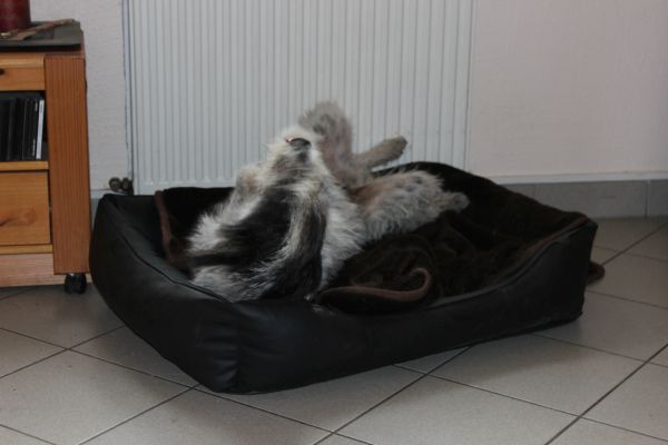 Bilder von Hannes - unsortiert