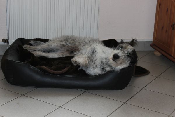 Bilder von Hannes - unsortiert
