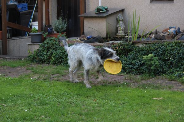 Bilder von Hannes - unsortiert