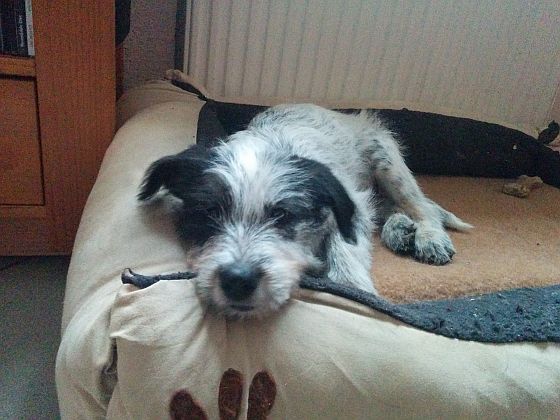Hannes