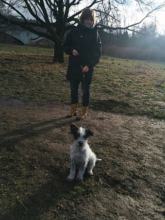 Hannes
