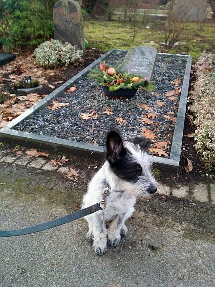 Hannes