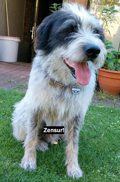 Um die Imtimsphäre von Hannes zu wahren wurde das Bild vorsorglich zensiert! ;o)) Hannes