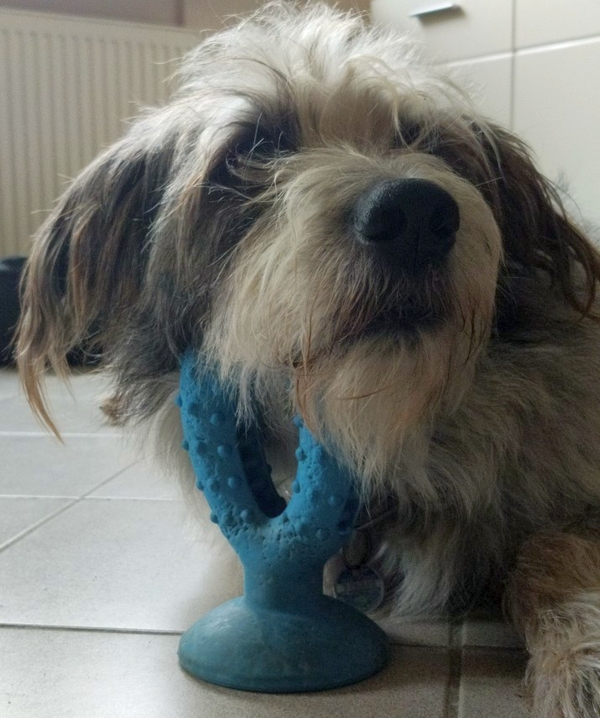 Hannes