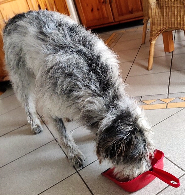 Hannes