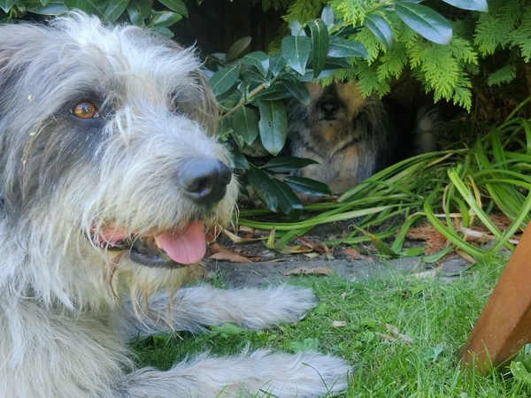 Berta und Hannes