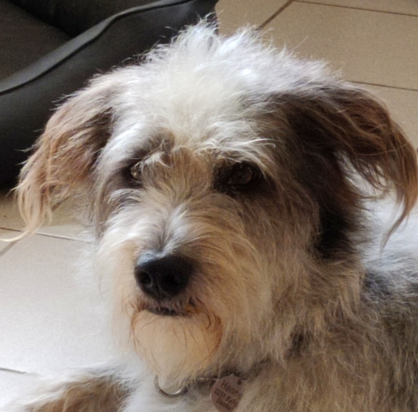 Hannes