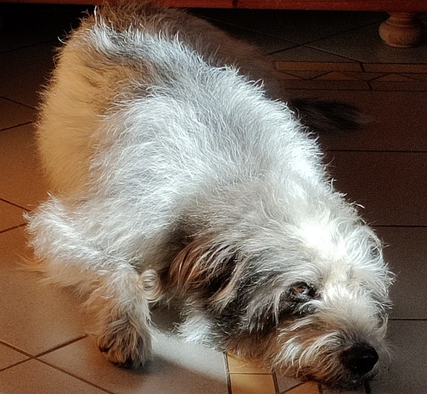 Hannes