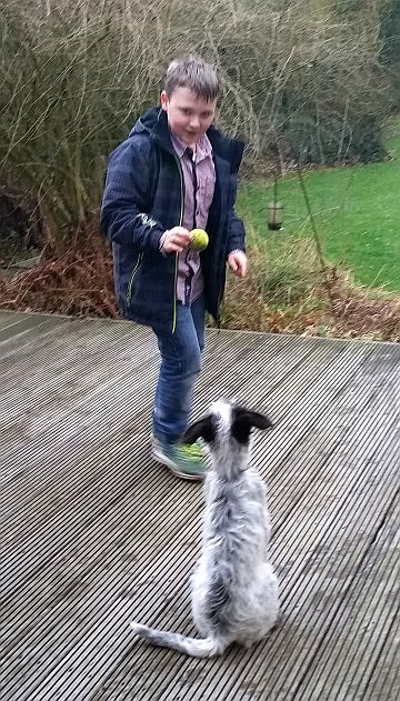 Piet und Hannes