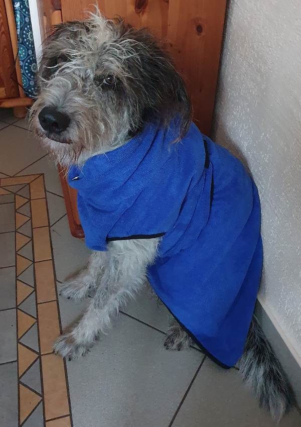 Hannes