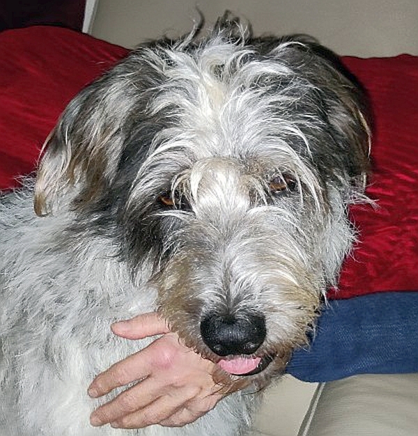 Hannes