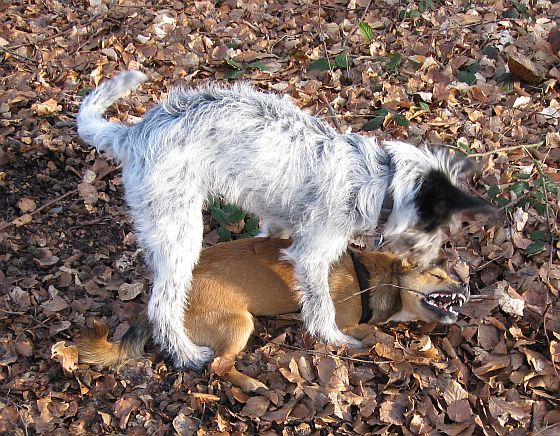 Raik und Hannes