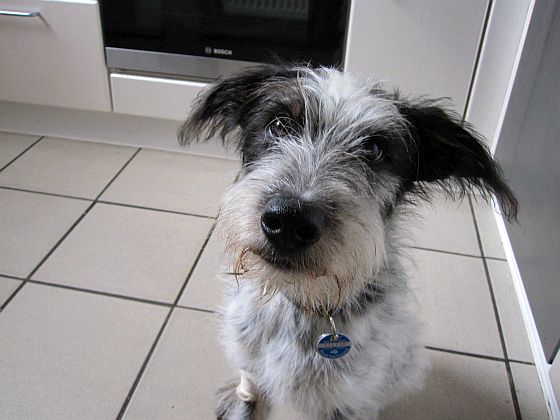 Hannes
