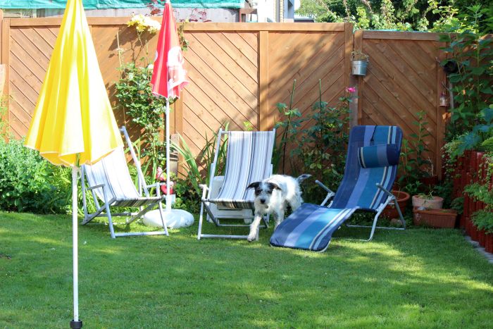 Die 'Hannes ist gesund' - Party am 23.06.2019