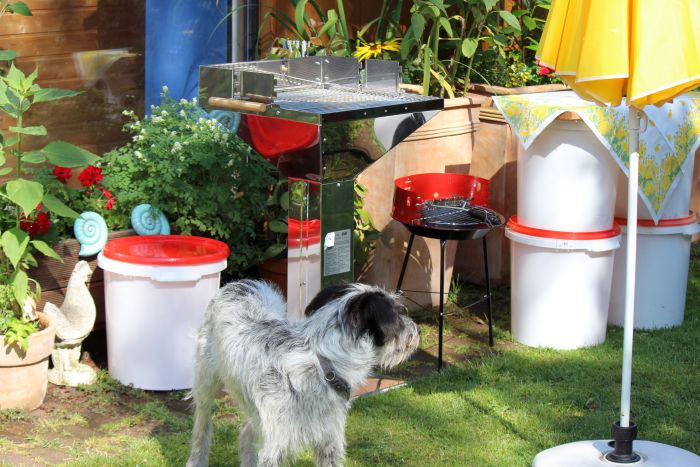 Die 'Hannes ist gesund' - Party am 23.06.2019