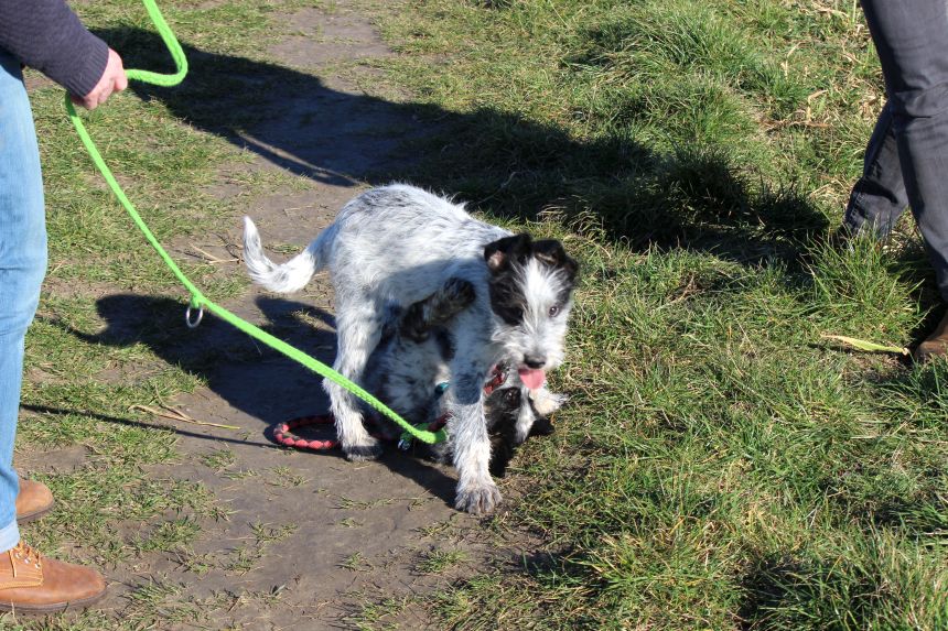 Melly und Hannes spielen im Feld