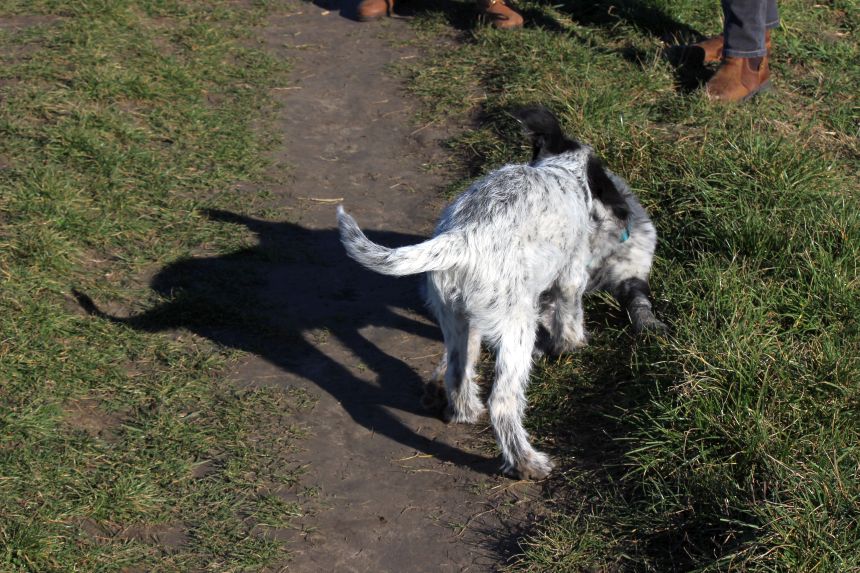 Melly und Hannes spielen im Feld