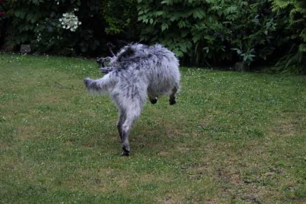 Bildersammlung - unsortiert und nicht kommentiert
