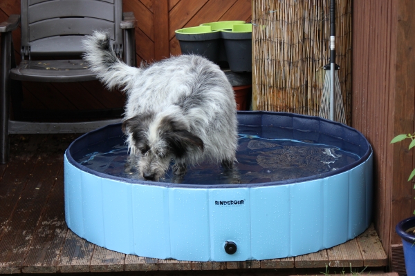 Bildersammlung - unsortiert und nicht kommentiert