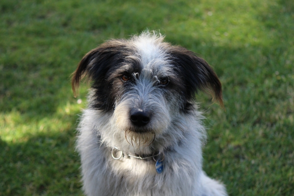 Bildersammlung - unsortiert und nicht kommentiert