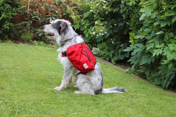 Bildersammlung - unsortiert und nicht kommentiert