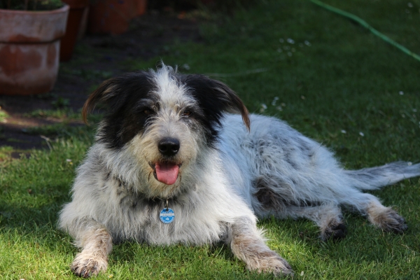 Bildersammlung - unsortiert und nicht kommentiert