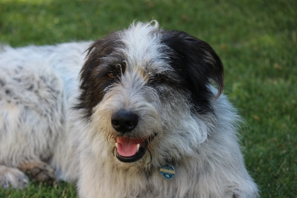 Bildersammlung - unsortiert und nicht kommentiert