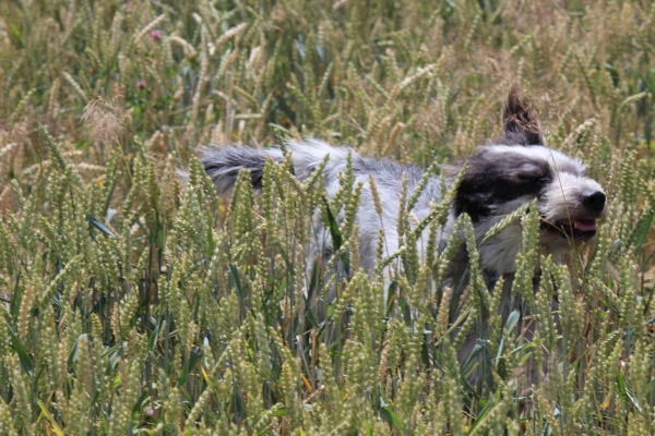 Bildersammlung - unsortiert und nicht kommentiert