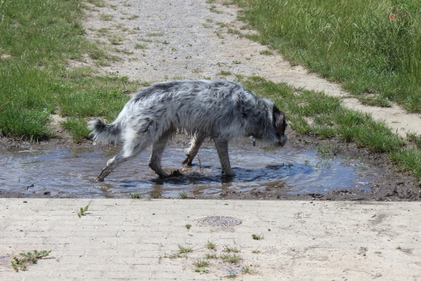 Bildersammlung - unsortiert und nicht kommentiert