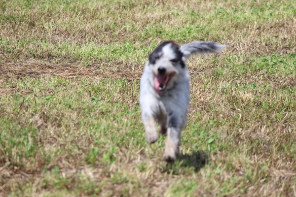 Bildersammlung - unsortiert und nicht kommentiert