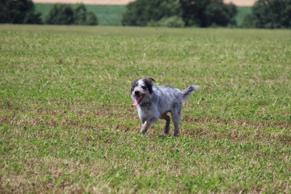 Bildersammlung - unsortiert und nicht kommentiert