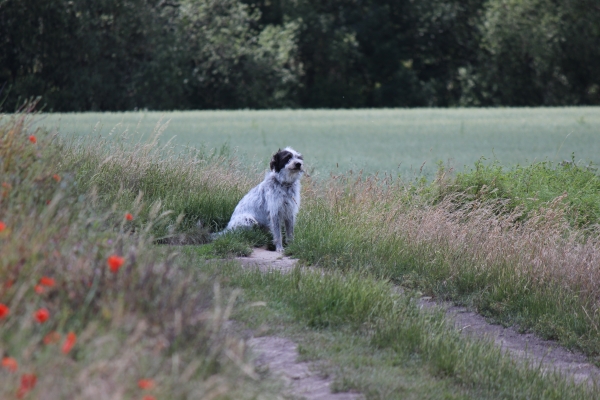 Bildersammlung - unsortiert und nicht kommentiert