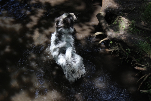 Bildersammlung - unsortiert und nicht kommentiert