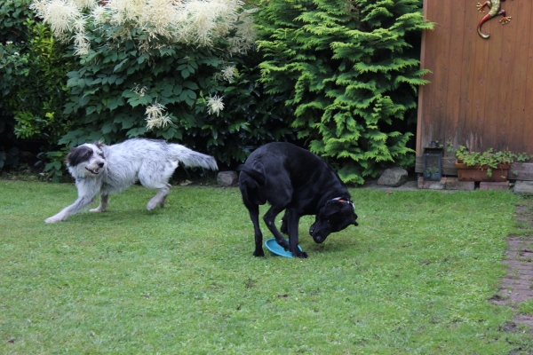 Bildersammlung - unsortiert und nicht kommentiert